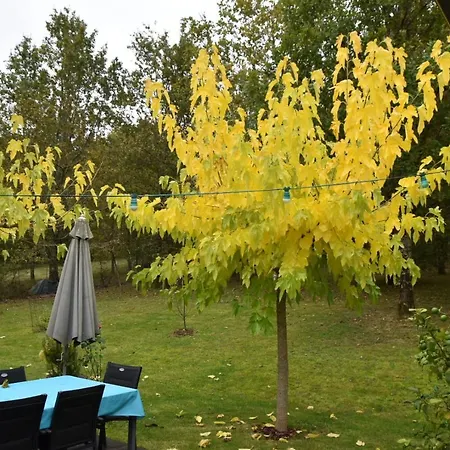 La Maison D'isabel 펜션