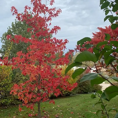 La Maison D'isabel 몽토방