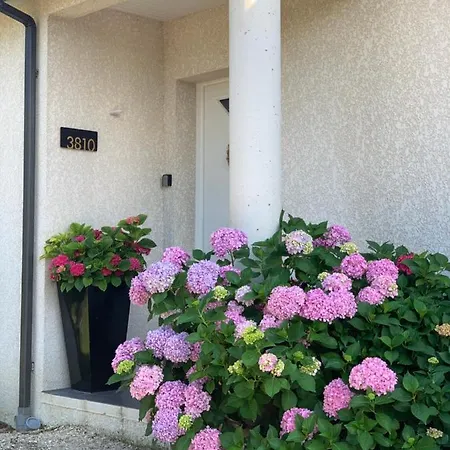 La Maison D'isabel *