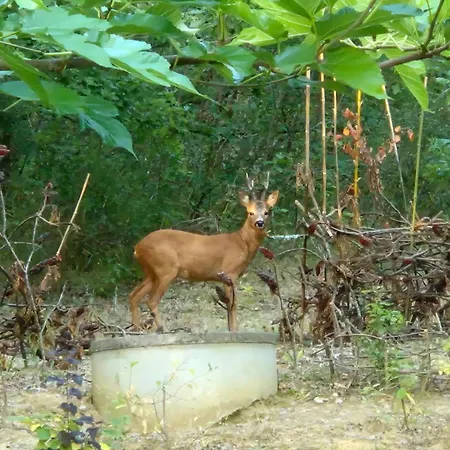 펜션 La Maison D'isabel