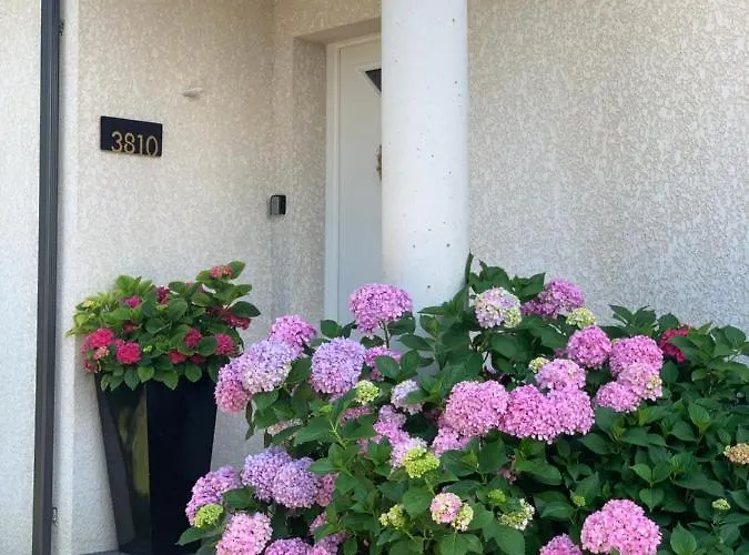 La Maison D'isabel *